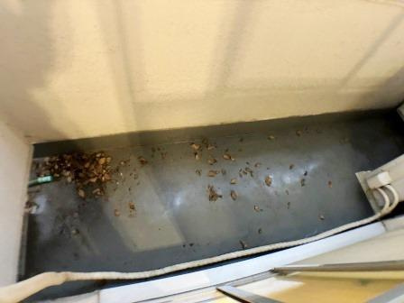 千石明穂ハイツのバルコニー|外からの目が気にならないバルコニーで洗濯物が干せます