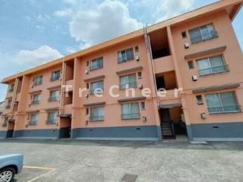 【外観】 | 一杉マンション