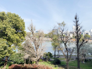 【展望】 | バルコニーからの景色です～即日のご見学可能～　お問合せはお気軽にどうぞ。
