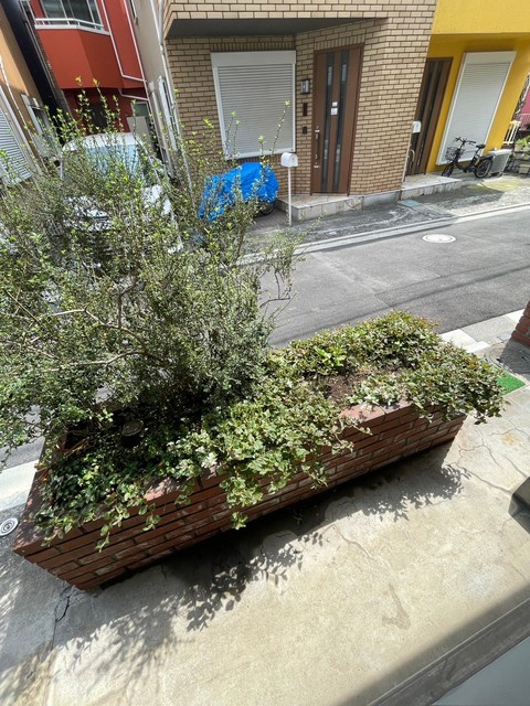 メゾンアーバンの展望