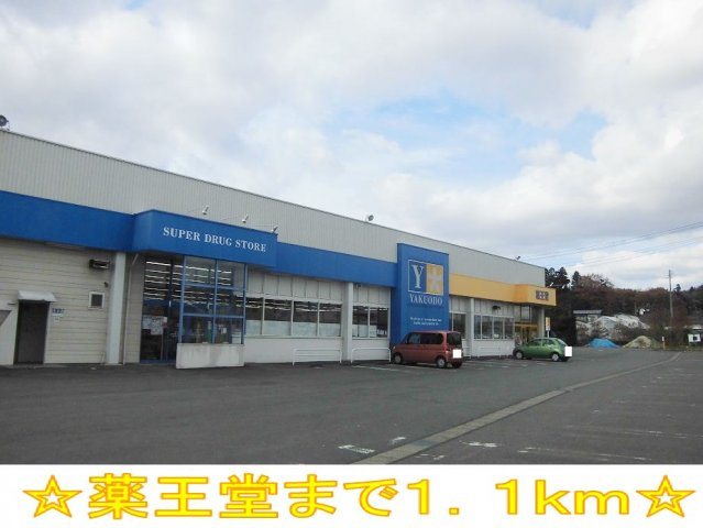 メロウ　アヴェニューＢの周辺|薬王堂まで1100m