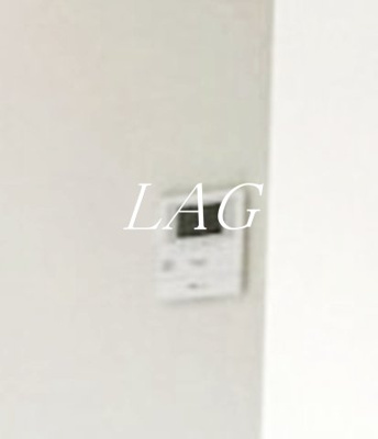 【セキュリティ】 | アルファ赤羽岩淵 | モニター付きインターホンになります。