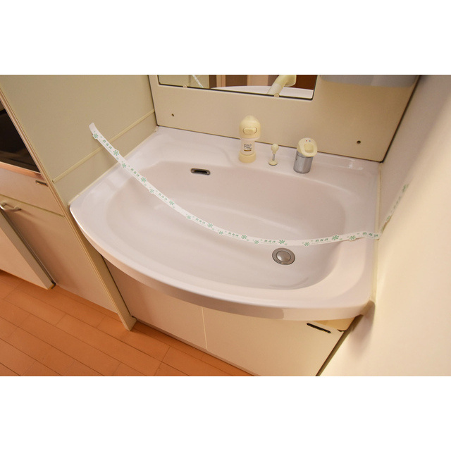 ロイヤルヒル神戸三ノ宮Ⅱの洗面所