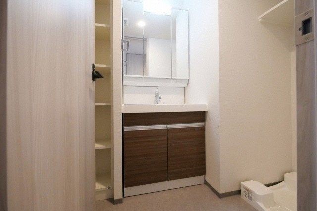 大阪市西区新町４丁目の賃貸マンションの洗面所