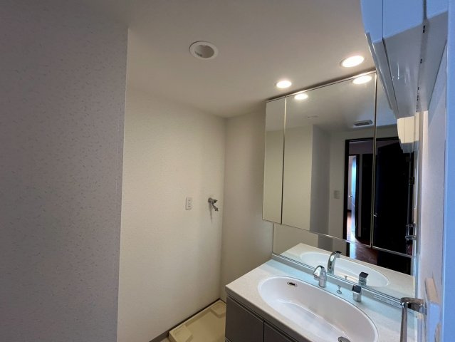 ハーバービュー六甲の洗面所