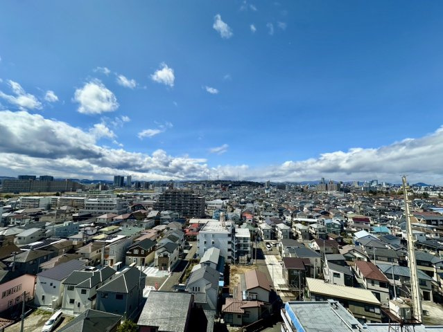 ライオンズガーデン若林の展望