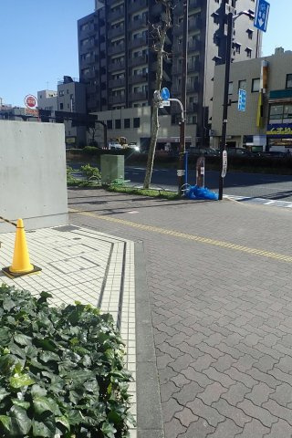 コンフォリア本駒込の周辺