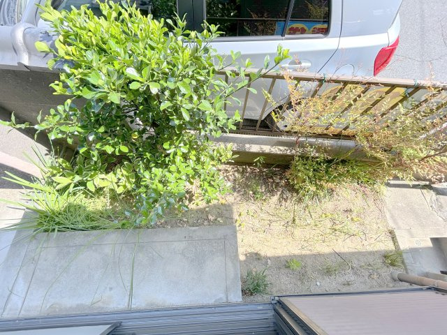 生駒市俵口町戸建（1513-3）の庭