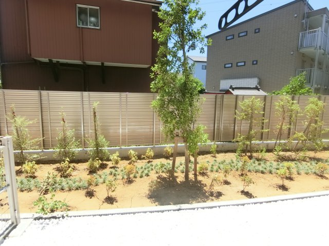 アグロラトス　ヒサリコの展望