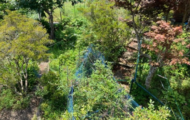 【庭】 | 東伊豆町大川　戸建