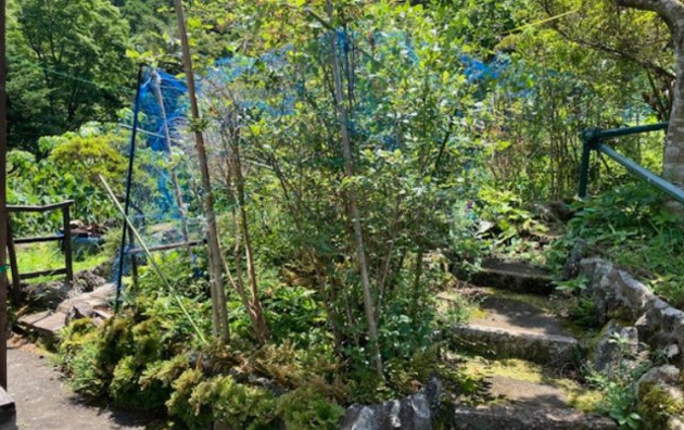 【庭】 | 東伊豆町大川　戸建