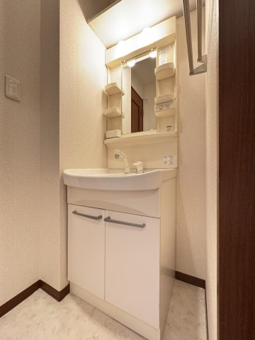 ハーモニック市川の洗面所