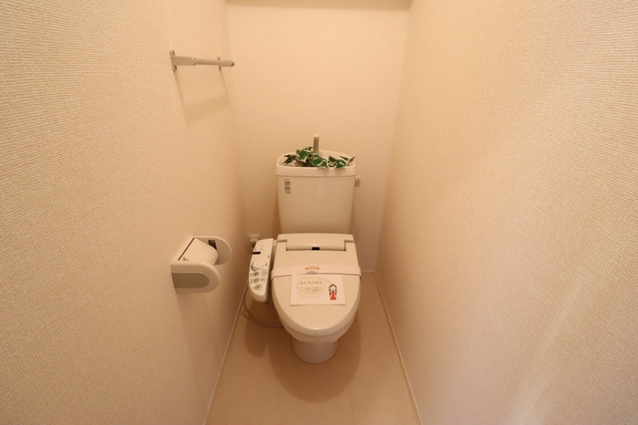 Belle Fleur Hitachino(ﾍﾞﾙ ﾌﾙｰﾙ ﾋﾀﾁﾉ)のトイレ|落ち着いた色調のトイレです
