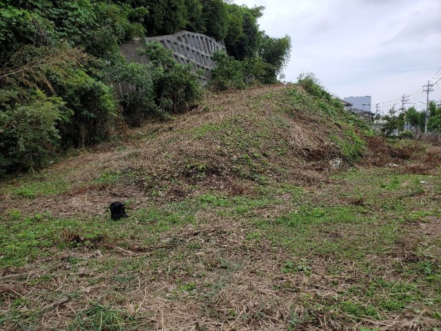 八王子市館町　土地の土地図