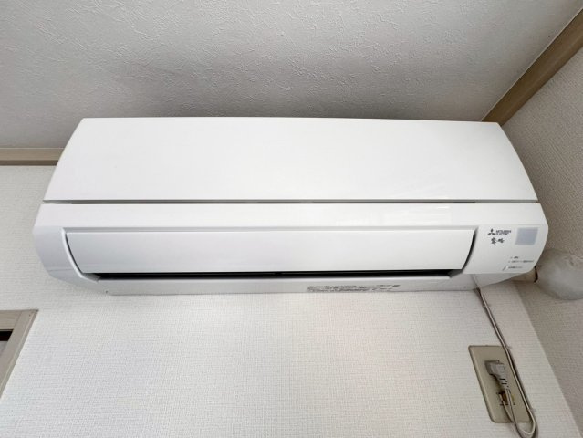 カーサクロヤナギ