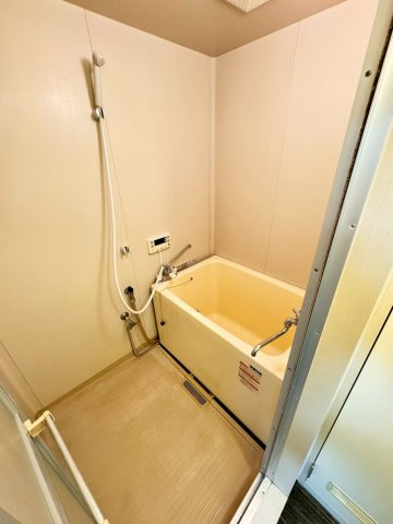 カーサクロヤナギ