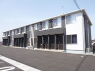 ルシエル１８の画像