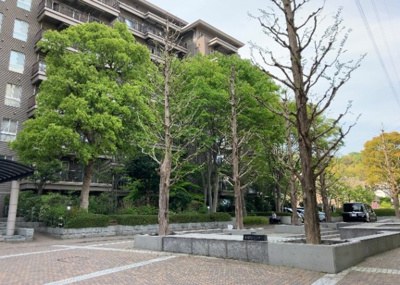 【庭】 | エステ・スクエア成瀬壱番館 | 物件によっては、入居者が個人的に使用できる専用庭がついているものもあります。また、住宅の中にある土間の部分を庭と呼ぶこともあります。庭の用途は住む人によって変わり、それによってデザインもさまざまです。