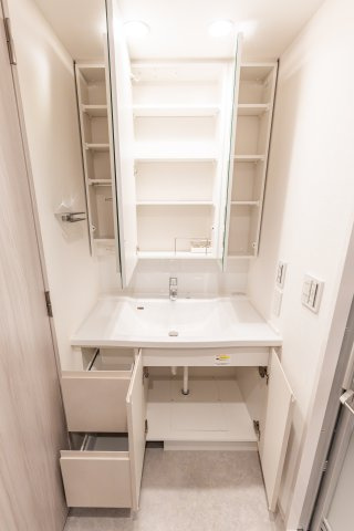 ジオタワー堺筋本町の独立洗面台