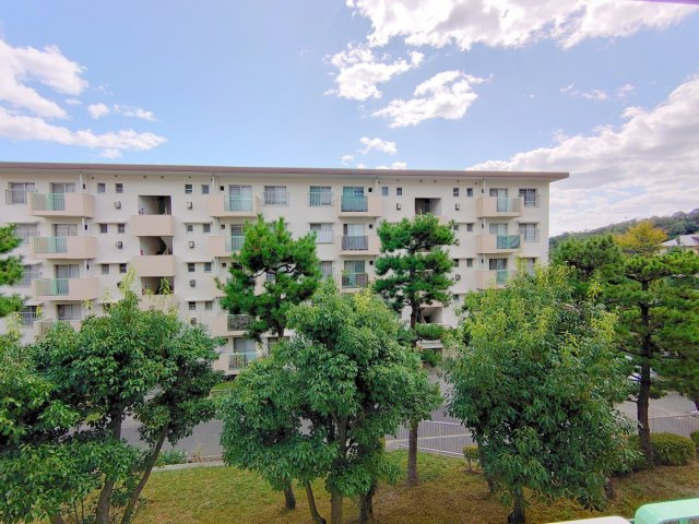 【展望】 | 中山五月台11号棟