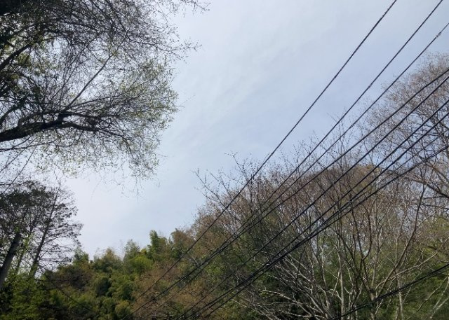 【展望】 | 田園風景が味わえる土地に住みたい！海や山の見える自然豊かな土地に住みたい！などご要望に併せて当社営業がご提案させて頂きます。当社が抱えている数ある物件の中からお客様が納得する1件を一緒に探しましょう！