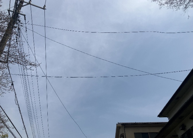 【展望】 | 桜や紅葉の名所に出かける人は多いと思いますが、家にいながら季節の移ろいを感じる生活を送りませんか？リビングや窓から見える景色が生活を彩るワンポイントに！現地から見える景色を堪能してみては如何でしょう。