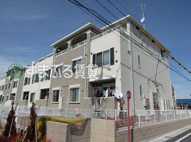 シンビジウム　M&S　A　岡崎市井内町の画像