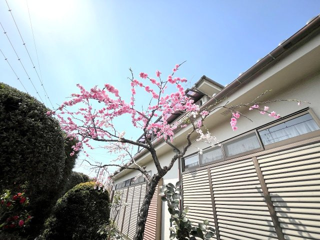 あきる野市秋留2丁目　中古戸建のその他