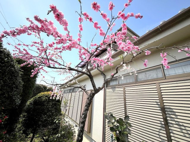 あきる野市秋留2丁目　中古戸建のその他