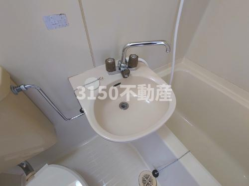 白山パレドールの洗面所