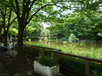 後谷公園まで180m
