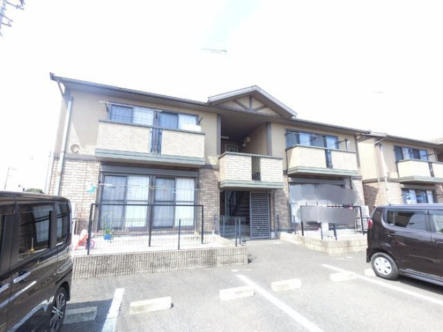 プリムローズ　C