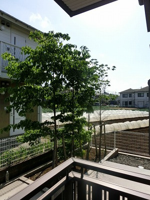 【展望】 | カサベルテ | カサベルテ　眺望