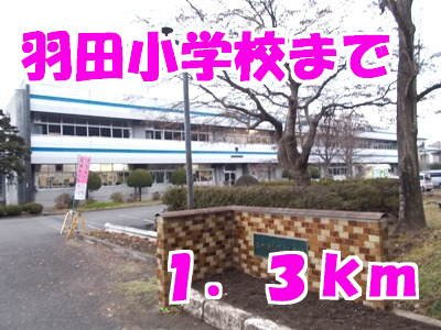 ビッグ　シャトーＢの周辺|羽田小学校まで1300m