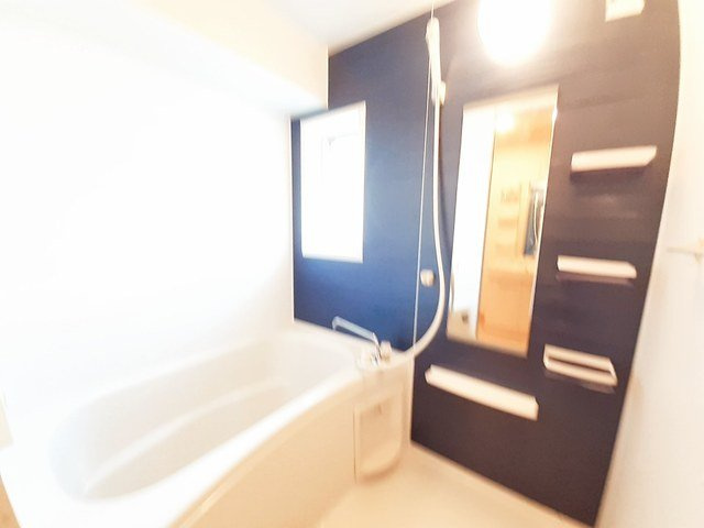 ビッグ　シャトーＢの浴室