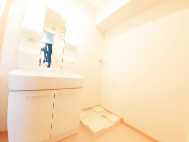 ビッグ　シャトーＢの洗面所