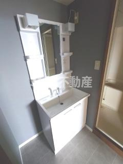 セントラルハイツ野瀬 WESTの洗面所