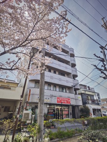 レスターテⅡのその他