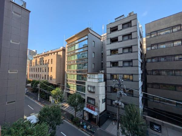 ザ・パークハウス麹町レジデンスの展望