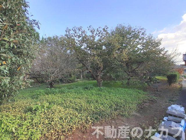 宇城市豊野町糸石の売地の外観