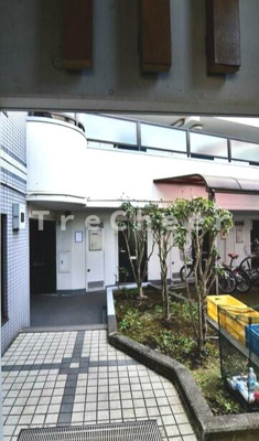  | ラパルフェドプリモ