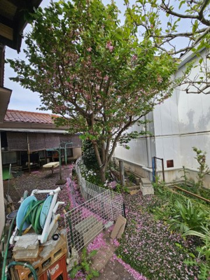 【庭】 | 鳥取市雲山中古戸建て