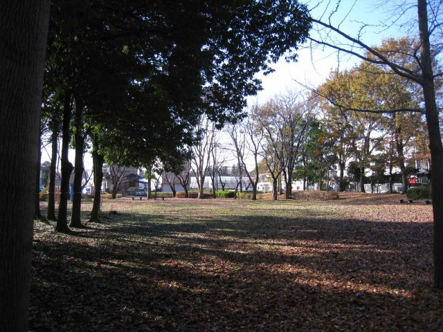 筑波ユニバーサイド の周辺|しらかし公園まで150メートル