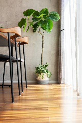 仲介手数料不要　菊陽町原水112号地建売モデルハウス【菊陽北小・菊陽中】のキッチン|同一メーカー他物件