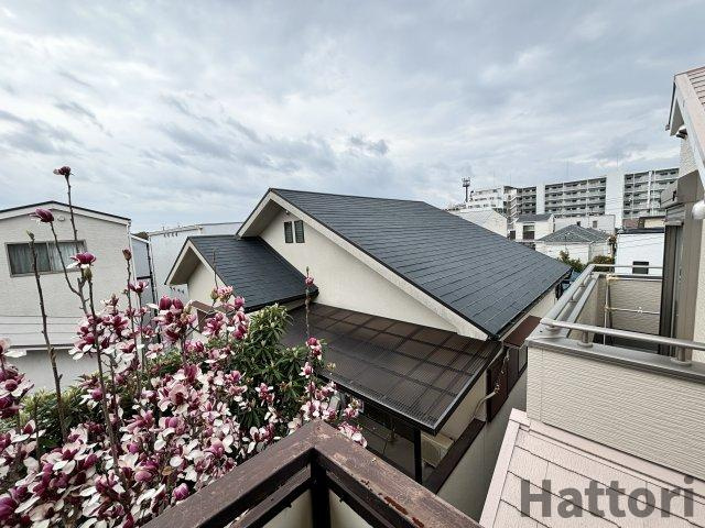 杉マンションの展望