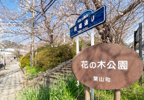 湘南×葉山らしさをデザインした、杉板外壁の家。の周辺|「現地から徒歩圏内にある、花の木公園と桜通り。お散歩にぴったりのロケーションです。」