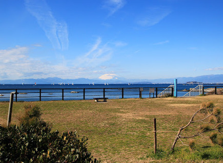 湘南×葉山らしさをデザインした、杉板外壁の家。の周辺|「芝生の先に広がる、相模湾と富士山の絶景。葉山公園は、のんびりと過ごせる地元の憩いの場です。」