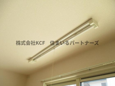 【その他】 | パテル・ヴィオラ