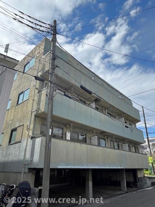 【展望】バンブーズ 