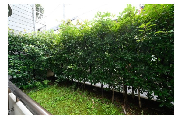 杉並区阿佐谷北４丁目の賃貸マンションの展望